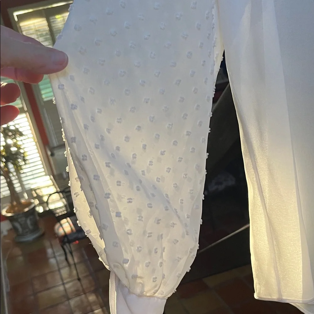 Elegant White Ruffled Blouse - Picture 5 of 11